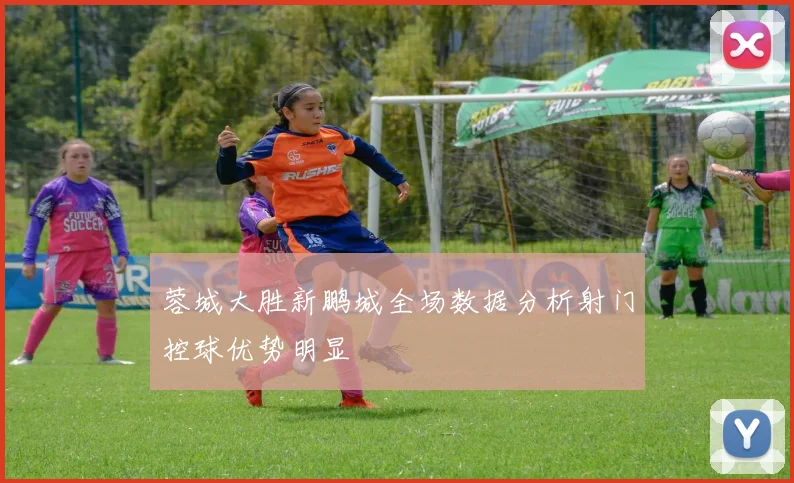 蓉城大胜新鹏城全场数据分析射门控球优势明显