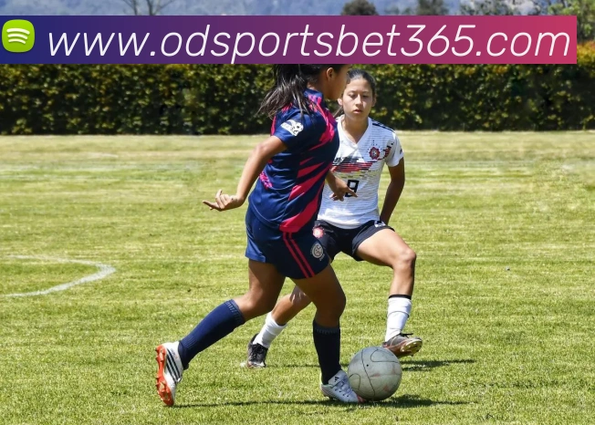 od体育服务体系